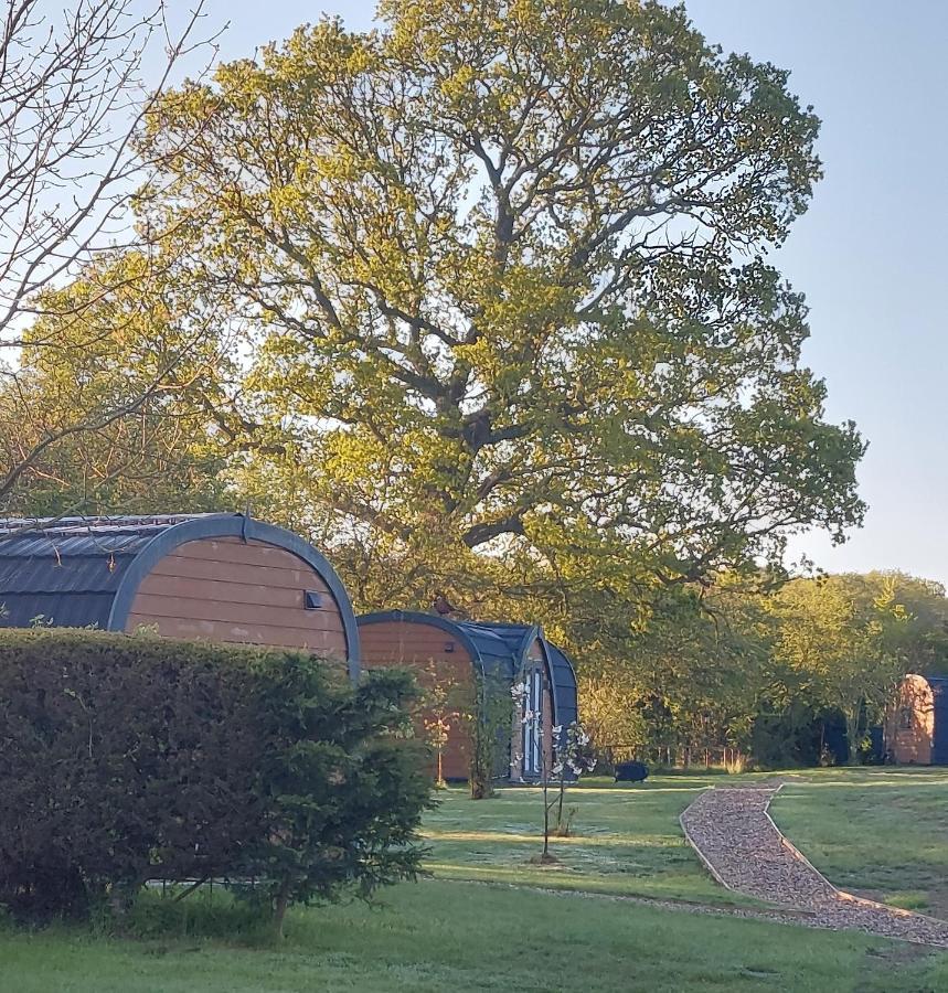Oak Lodge Pods ローストフト エクステリア 写真